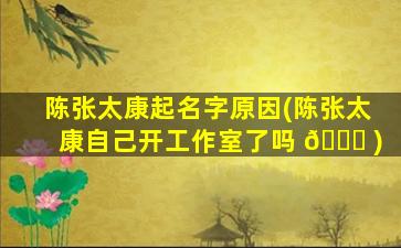 陈张太康起名字原因(陈张太康自己开工作室了吗 🐈 )